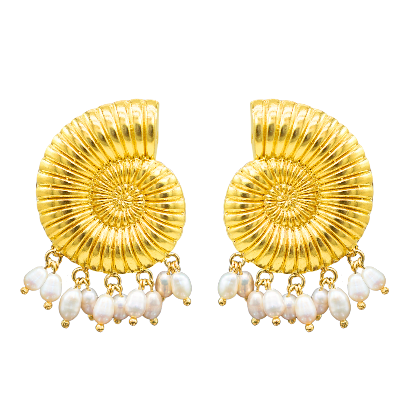 Conchiglia d'Oro con Perle