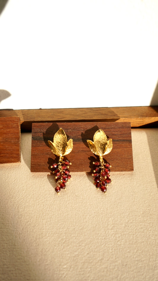 Grappolino di Granato Mediterraneo