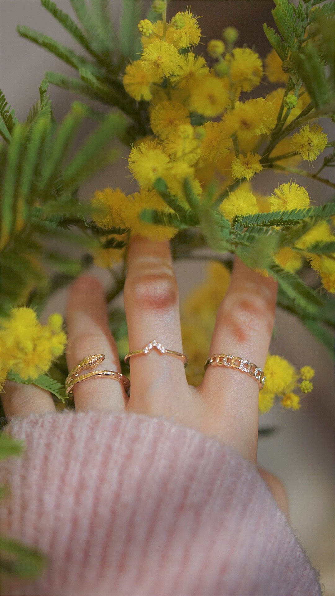 Chain ring charm