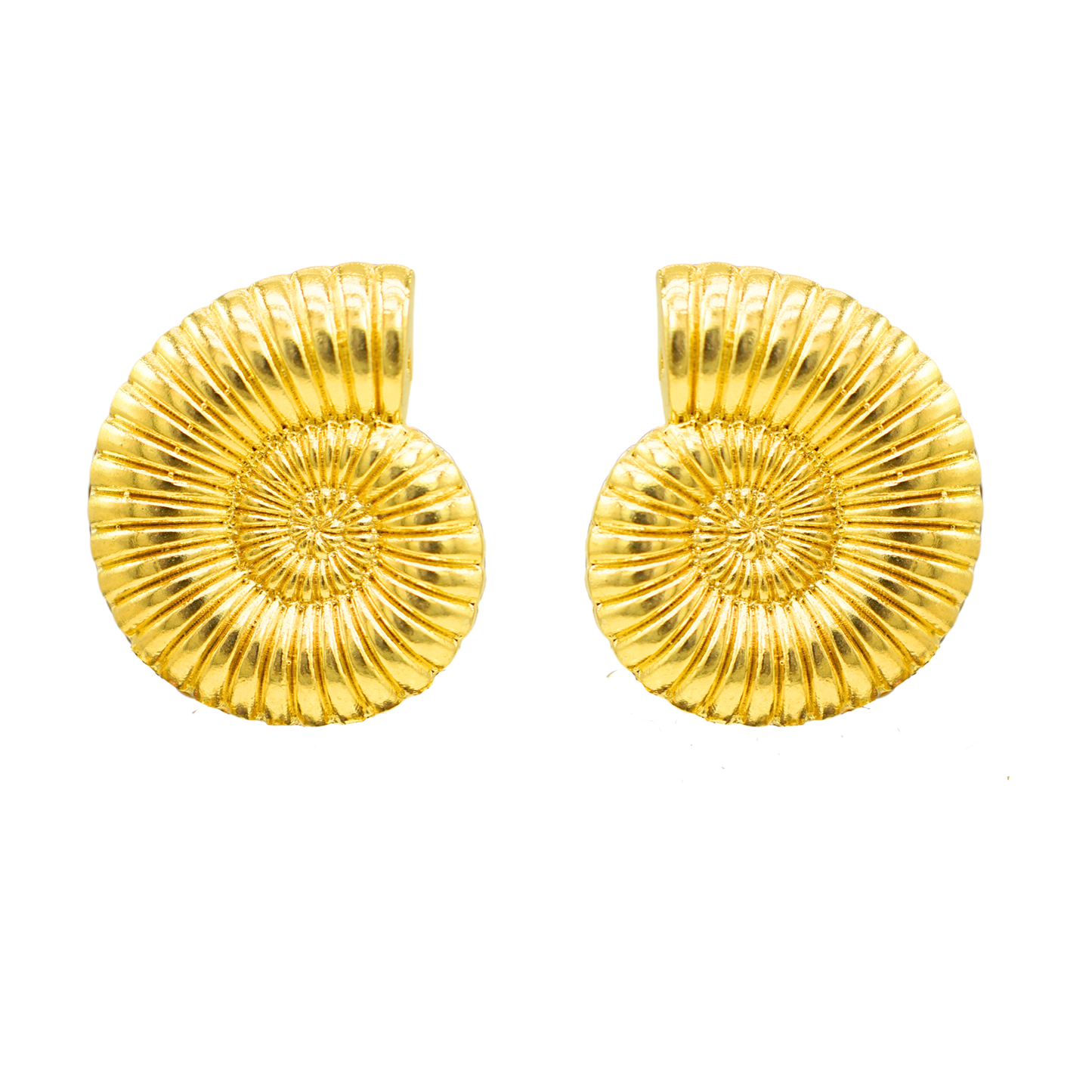 Conchiglia d'Oro