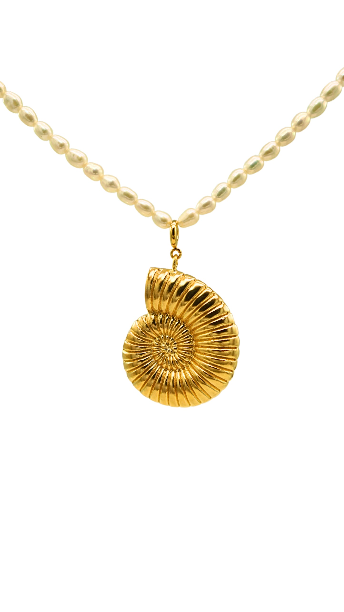 Golden Seashell Pendant