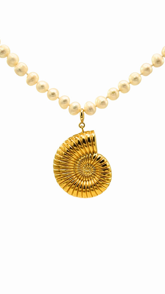 Golden Seashell Pendant